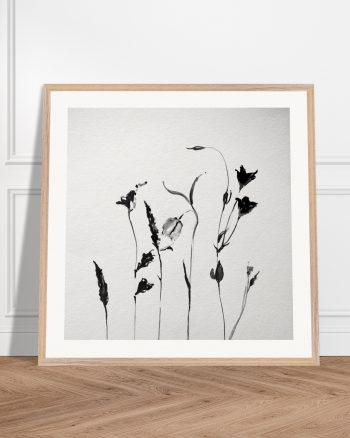 botanical3_nicgeraldine_art_prints_poster_store_wall_art_framed_posters_mainz_wiesbaden_frankfurt_18